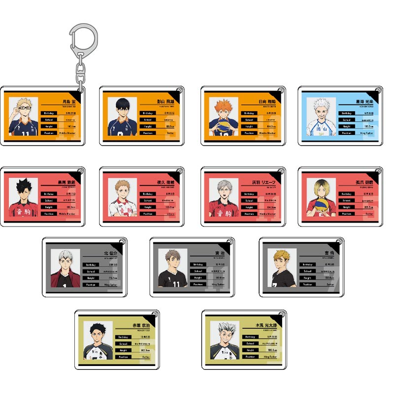 Haikyuu Acrylic Keychain Kawai - огляд і ціна Model Kit Accessories