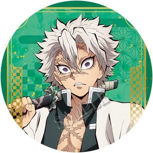 Demon Slayer Kimetsu no Yaiba  - огляд і ціна Model Kit Demon Slayer